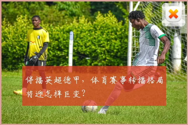 停播英超德甲，体育赛事转播格局将迎怎样巨变？